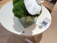 -蓉小乔·RONG COFFEE(春熙路店)