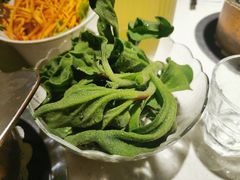 -一叶一世界•素食餐厅(环球中心店)