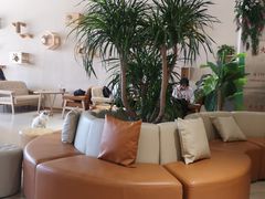 -藏猫猫咖啡主题馆(中央大道店)