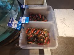 -强记海鲜·大排档(蛇口新街店)