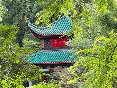 -岳麓山风景名胜区