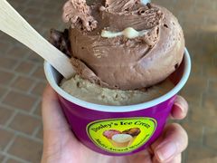 Chocolate-Dooley's Premium Ice Cream