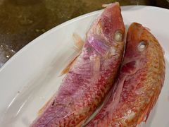 -揭阳钟记小食(福田新村店)