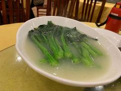 -鸿达渔港