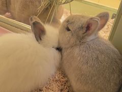 -龙猫仔乐园(惠福东路店)