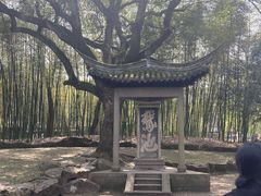 -兰亭风景区
