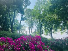 -大渡口区义渡公园