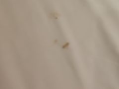 -莫泰酒店(厦门万象城火车站地铁站店)