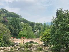 -云溪植物园