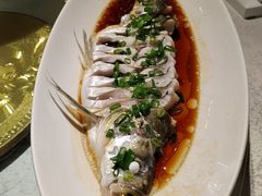 -金美华轩(东方路齐鲁店)