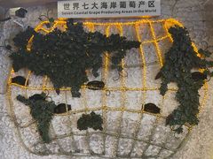 -青岛葡萄酒博物馆
