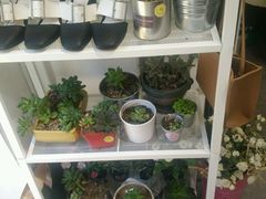 -JUICE  TIMES(中茵海华店)