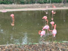 -杭州野生动物世界