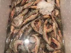 -新农都水产市场