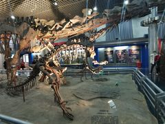 -国家自然博物馆