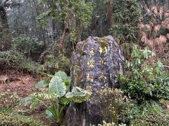 -明月山天沐温泉度假村