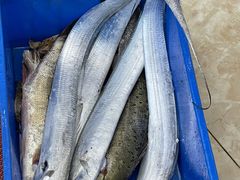 -丰收渔港饭店(嵊泗店)