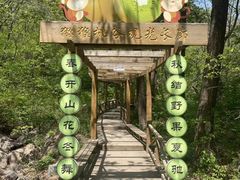 -大岭沟猕猴桃谷风景区