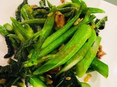 生炒芥兰菜-稻香酒家·35年老字号(侨光店)