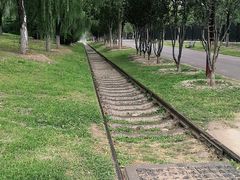 -永定河休闲森林公园