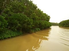 -大湾区中央湿地公园