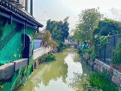 -江滩湿地公园