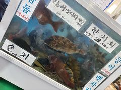 -西归浦每天偶来市场