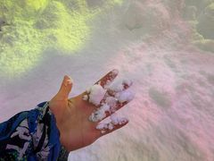 -世界之窗阿尔卑斯冰雪世界