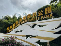 -西双版纳原始森林公园