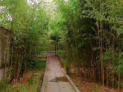 -南长河公园