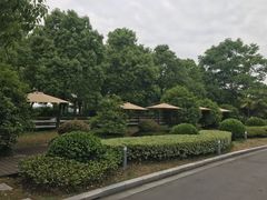 -夏阳湖皇冠假日酒店-自助餐厅