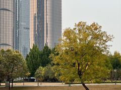 -大望京公园