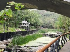 -白水寺森林公园