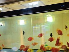 -臻享养生·SPA·影院式足道(汇臻店)