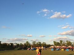 -春花秋色城市公园