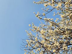-颐和园