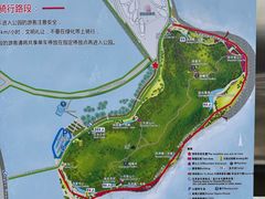 -野狸岛