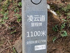 -梧桐山风景名胜区