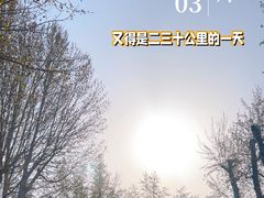 -山东大学(洪家楼校区)