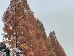 -秦始皇帝陵博物院(兵马俑)