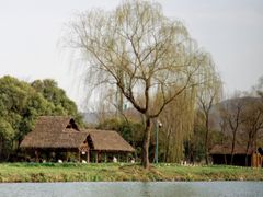 -西溪国家湿地公园