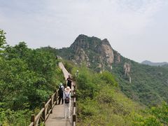 -大岭沟猕猴桃谷风景区