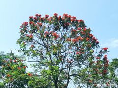 -火炉山森林公园