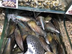 圣子王-盒马鲜生(岭南新世界店)