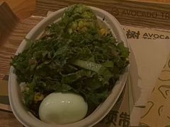 -油梨树AVOCADO TREE(望京店)