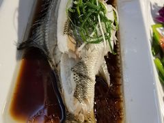 -云中小雅