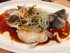 -青城山六善酒店·紫氣園中餐厅