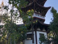 -武汉园博园(武汉自然博物馆)