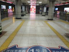 -大望路(地铁站)