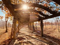 -上海海湾国家森林公园